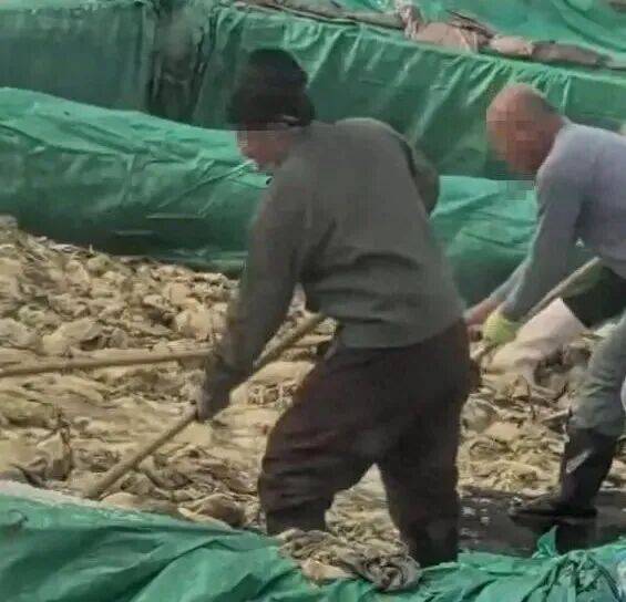 男子在酸菜池内抽烟吐痰<strong></p>
<p>数字货币价格</strong>，官方通报！