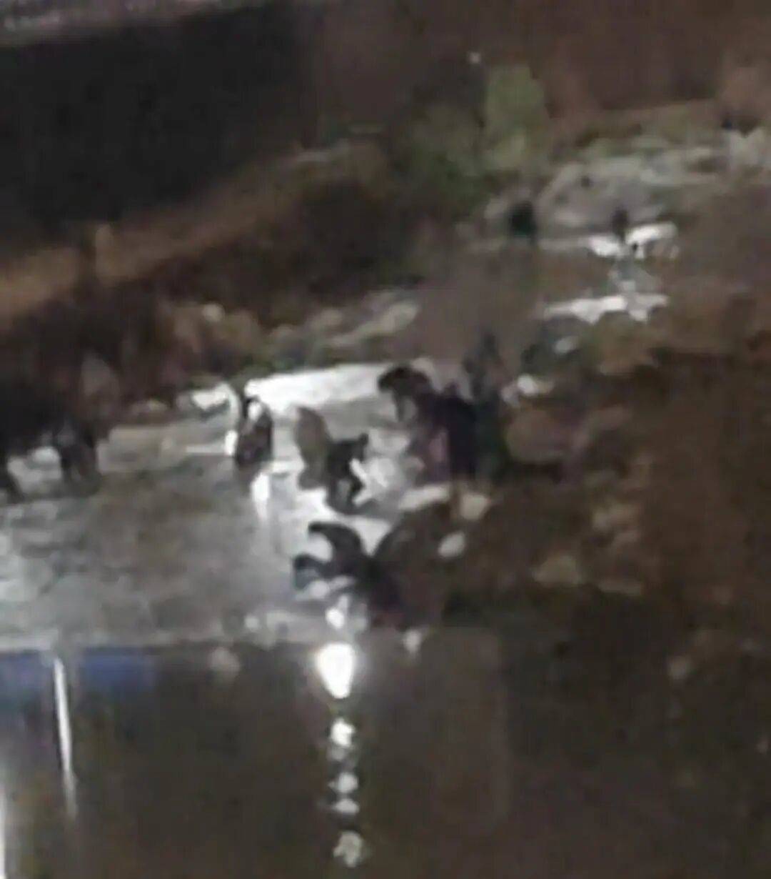 “一盆出5克多”<strong></p>
<p>以太坊</strong>,多人凌晨下河淘金!当地警方回应