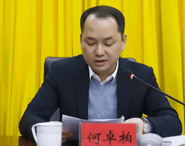 何卓柏<strong></p>
<p>以太坊</strong>，严重违纪违法