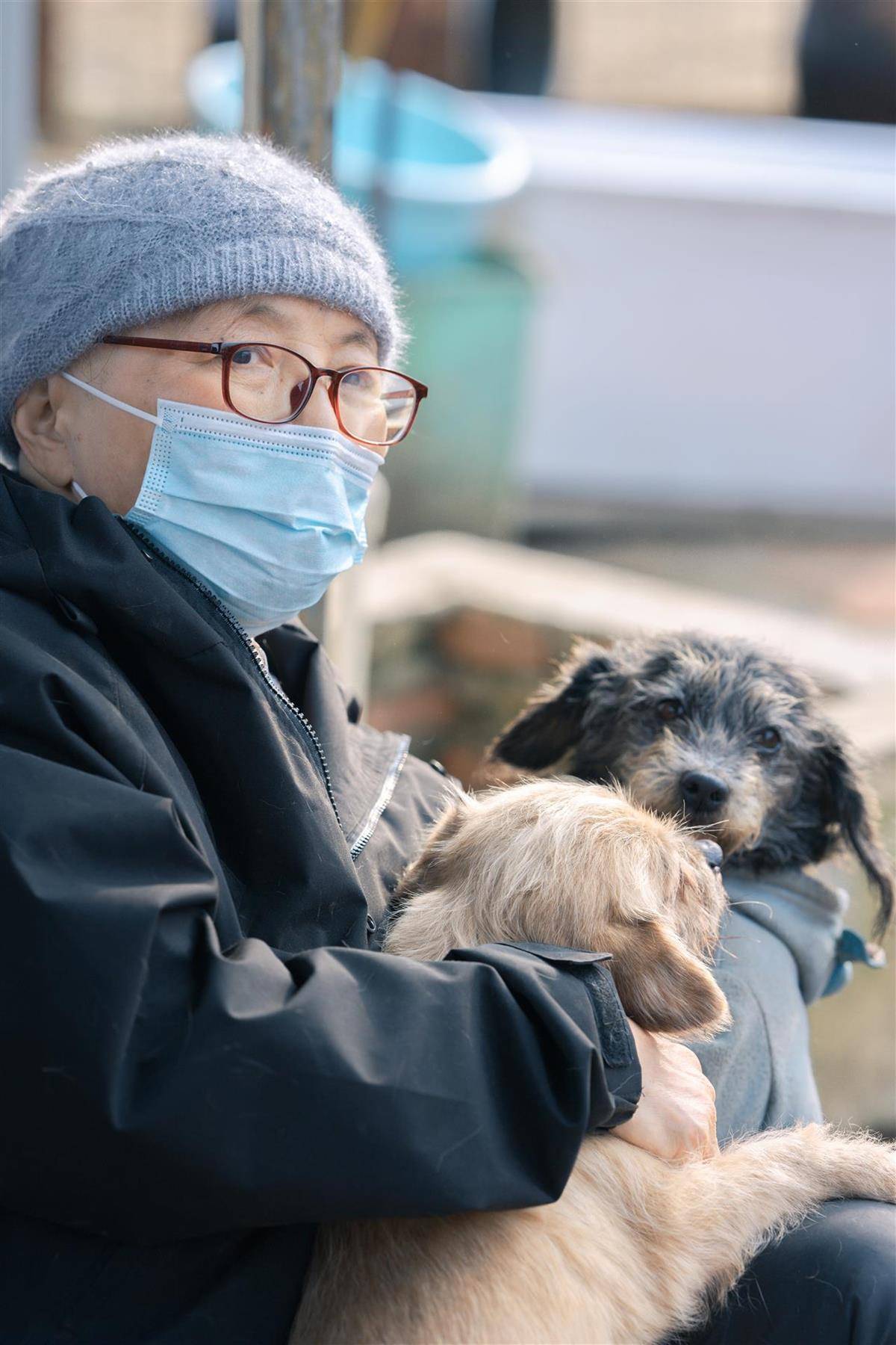 合肥卖房救助流浪狗的魏阿姨离世<strong></p>
<p>泰达币</strong>，病中仍然惦记着基地的600只流浪狗，工人：不敢相信世上还有这样执着的人