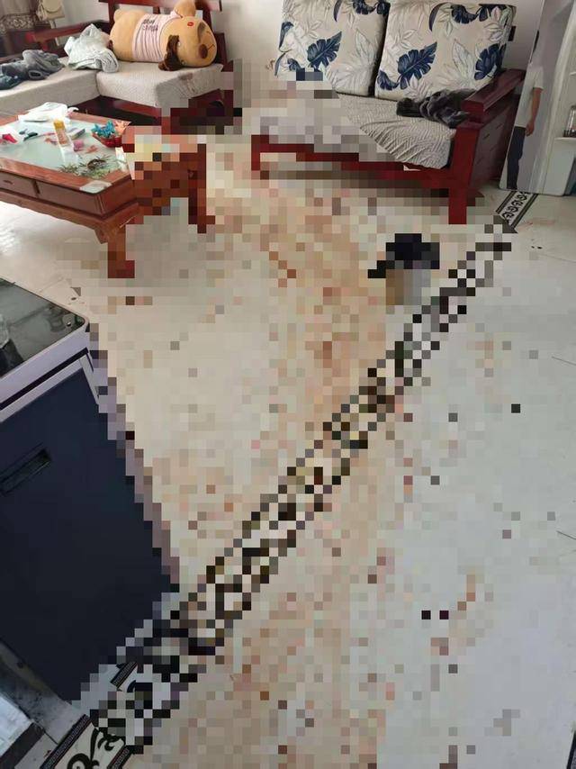 “女子出租屋遭男友持刀杀害”案明日开庭<strong></p>
<p>国泰君安</strong>，家属发声：凶手从未道歉，我们不会谅解