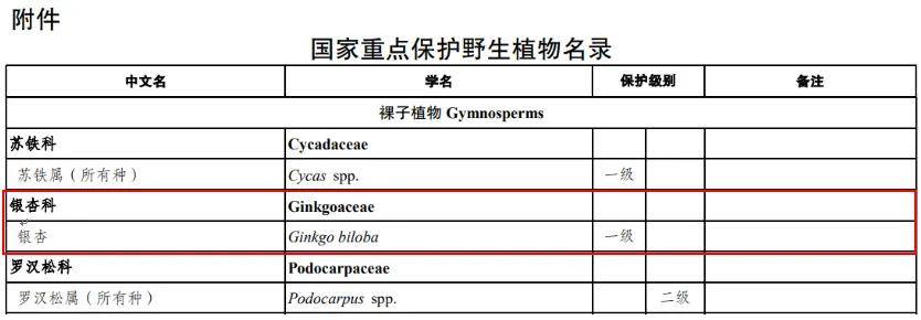 满大街都是银杏树<strong></p>
<p>中信证券</strong>，为什么还是濒危物种？