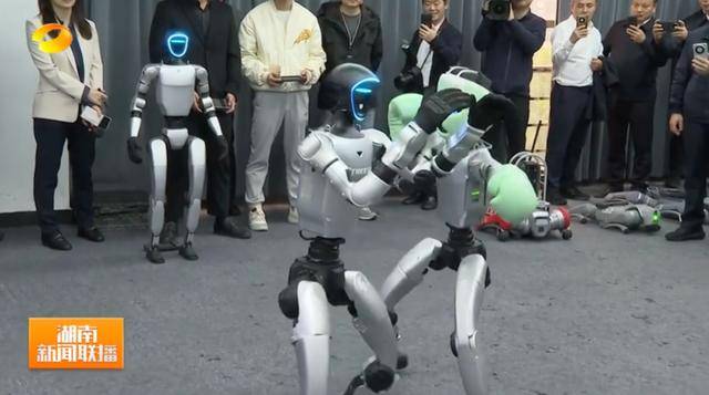 湖南省省长、浙江省省长<strong></p>
<p>中信证券</strong>，一同观看机器人表演