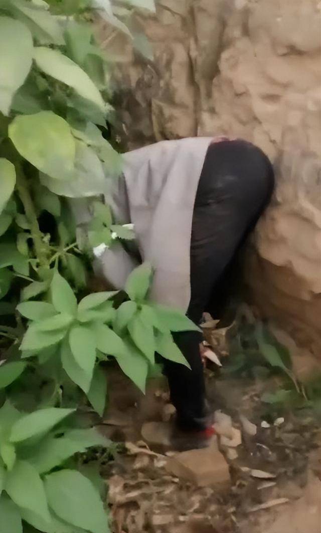 陕西一女子疑因拍亲姑姑偷玉米遭姑父棍杀<strong></p>
<p>首创证券济南营业部</strong>，邻居欲报警也遇害