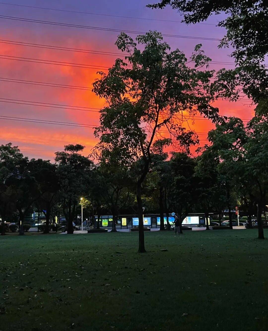 第一批丁克老后<strong></p>
<p>盈透证券资金如何转出</strong>，“伴侣能陪一程，但最后都要靠自己”