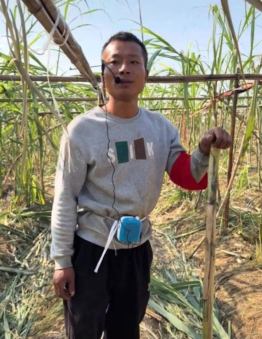 四川眉山“偷甘蔗农场”爆火！增设2.99元入场费后<strong></p>
<p>盈透证券资金如何转出</strong>，地里仍来了上千游客，“偷甘蔗”被逮到的人要表演才艺，老板：日销售有时近万元