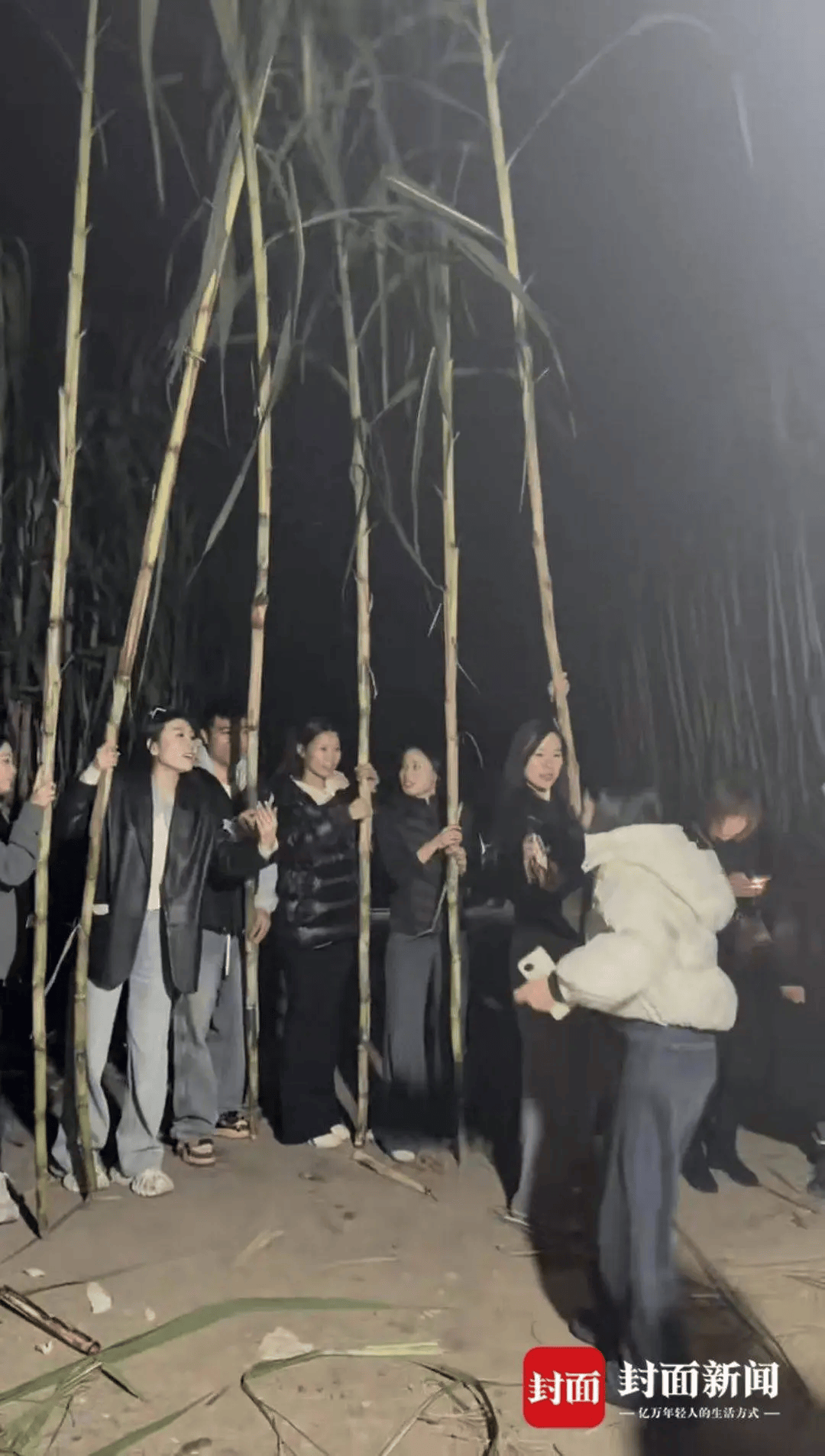 四川眉山“偷甘蔗农场”爆火！增设2.99元入场费后<strong></p>
<p>盈透证券资金如何转出</strong>，地里仍来了上千游客，“偷甘蔗”被逮到的人要表演才艺，老板：日销售有时近万元