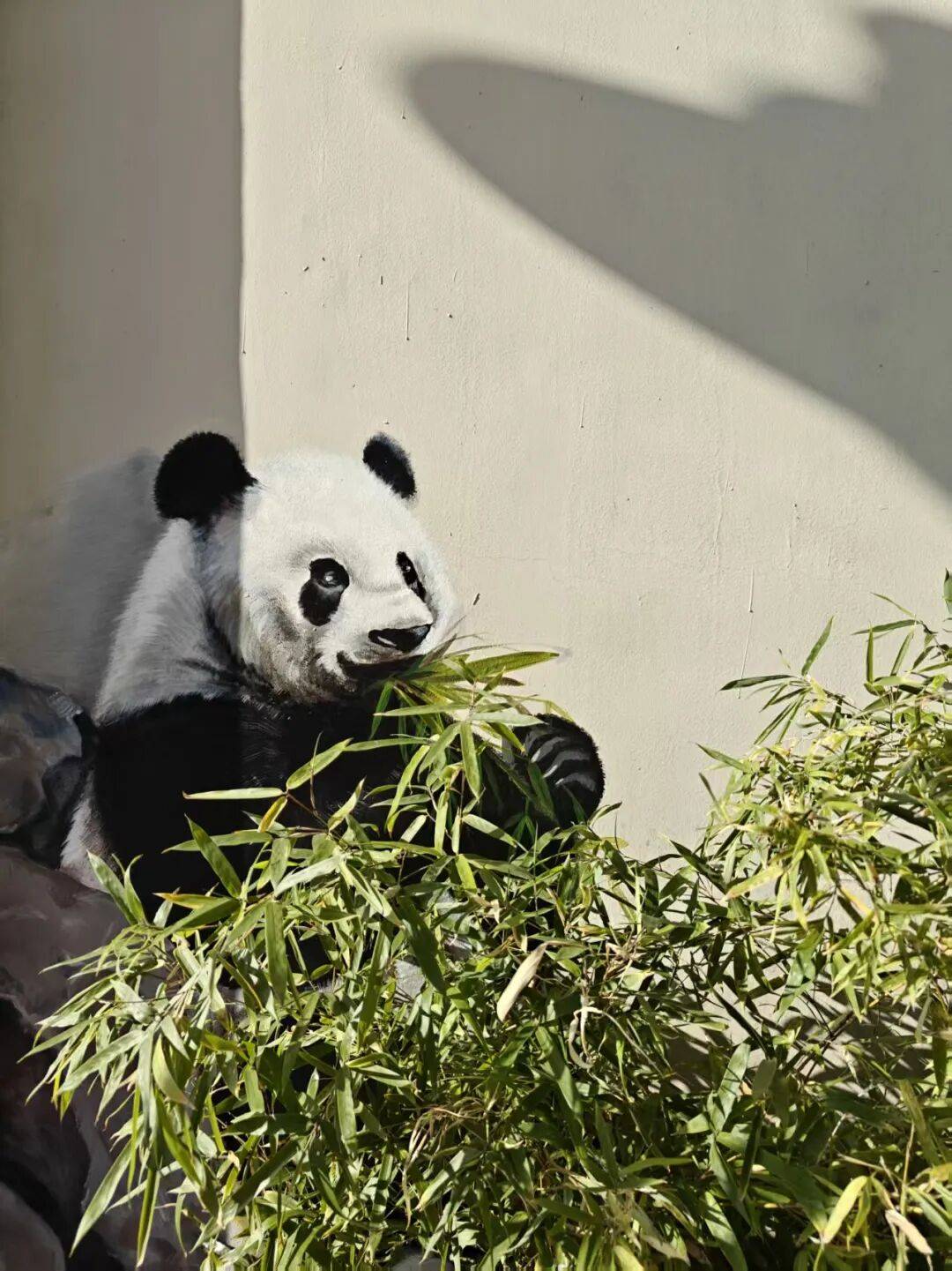 “颜值”出圈 天津和平区独山路这面彩绘墙“亮”<strong></p>
<p>德州有几个证券公司</strong>了