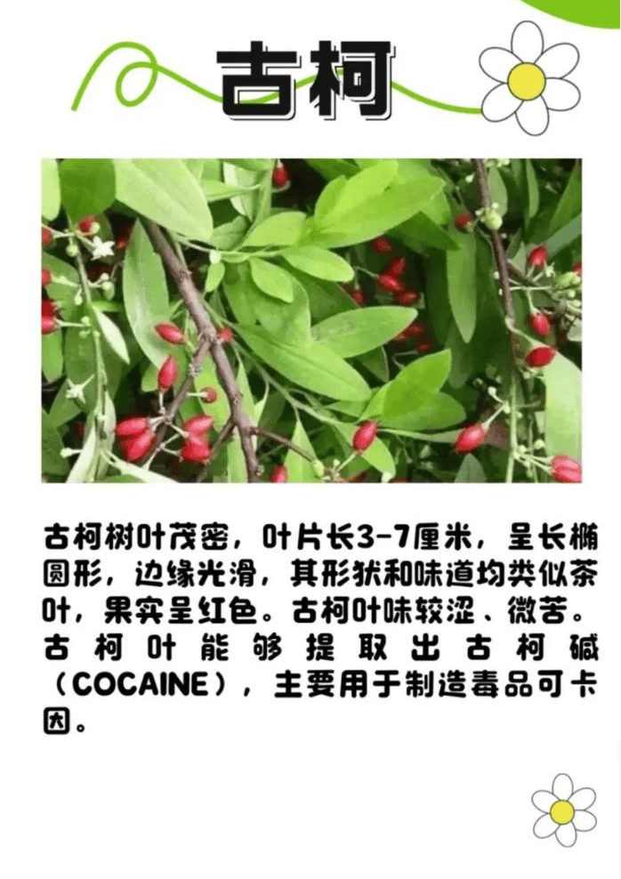 悬赏1500万美金！前奥运选手涉多起案件<strong></p>
<p>太平洋证券行情</strong>，被列入十大通缉犯