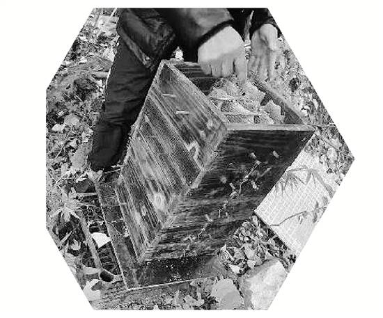 两派蜜蜂打群架<strong></p>
<p>平安证券资金安全吗</strong>，伤亡惨重 民警：别打了，赔钱赔蜂蜜