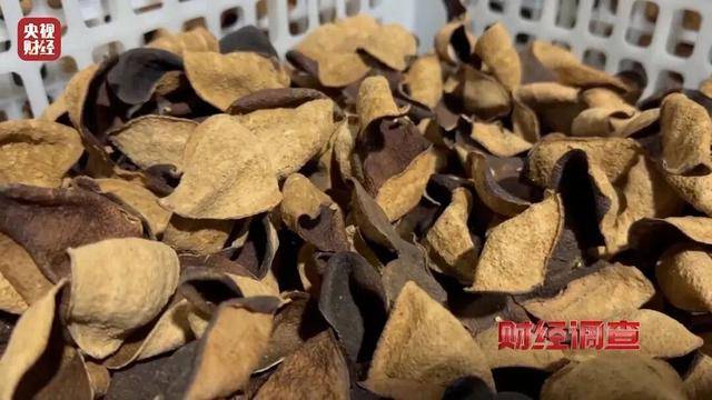 30天速成陈皮<strong></p>
<p>南京河西华泰证券广场</strong>,成本仅70元,利润超成本10倍以上!央视起底陈皮跨省造假产业链