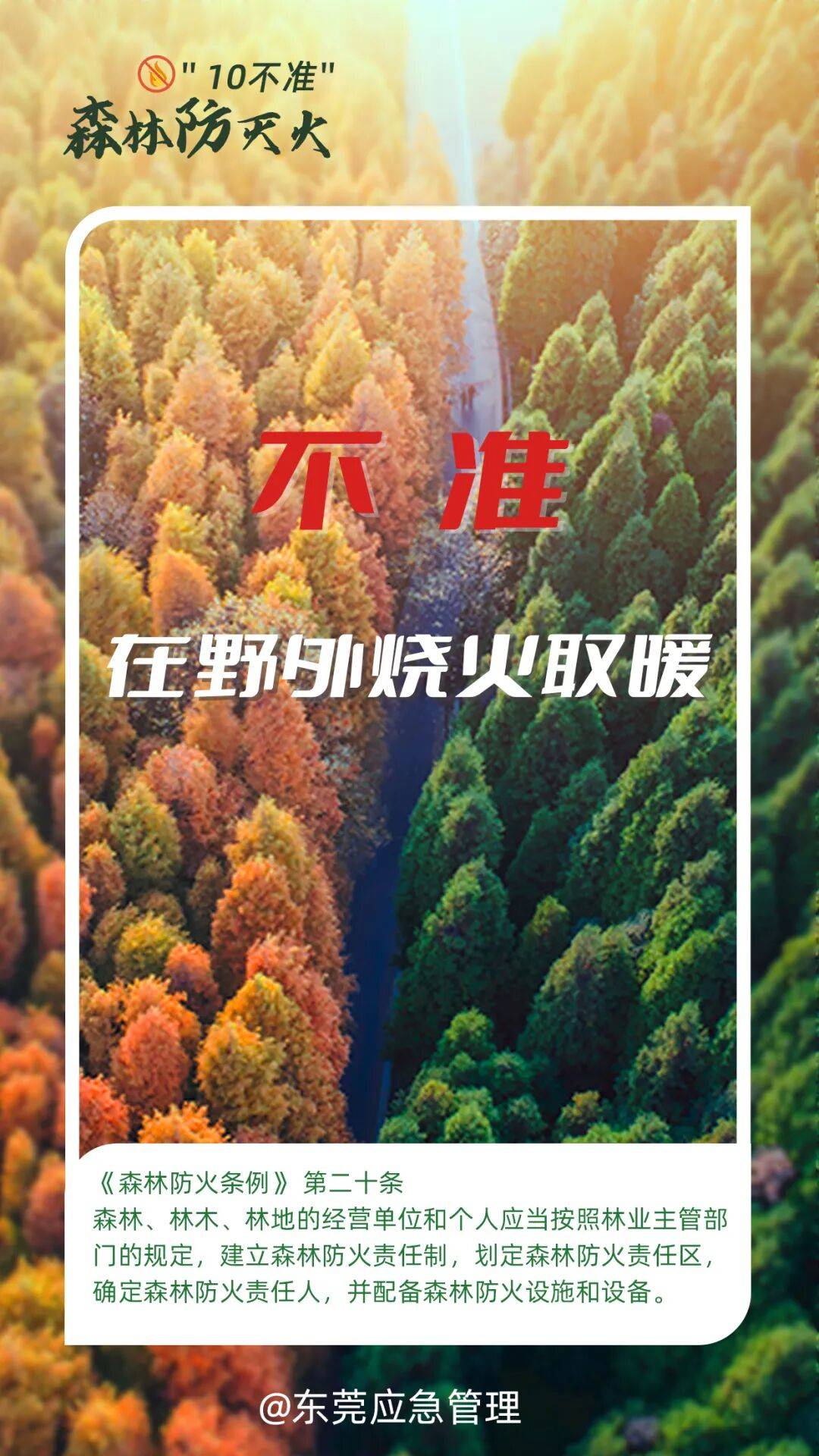 深圳坪山区突发山火<strong></p>
<p>高密市证券公司</strong>，最新通报：明火已扑灭，无人员伤亡
