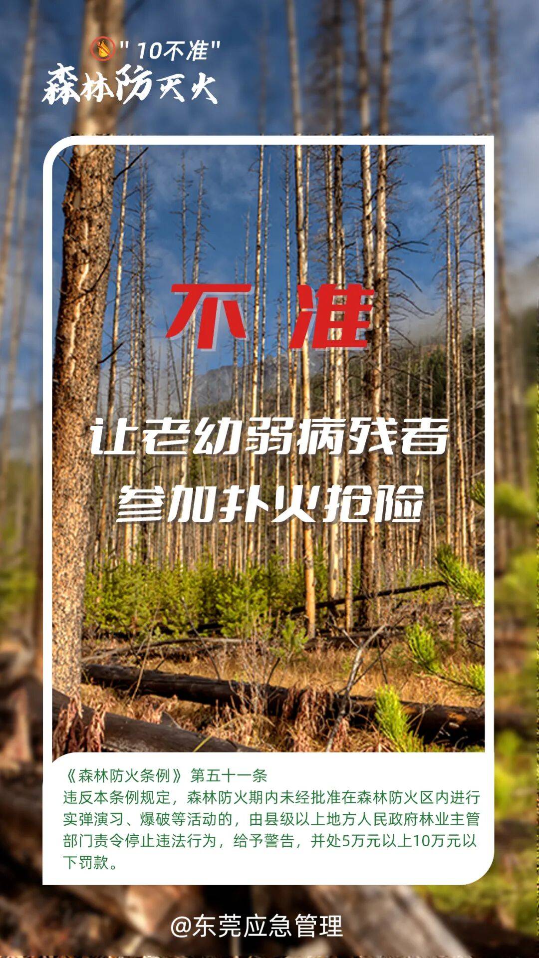 深圳坪山区突发山火<strong></p>
<p>高密市证券公司</strong>，最新通报：明火已扑灭，无人员伤亡