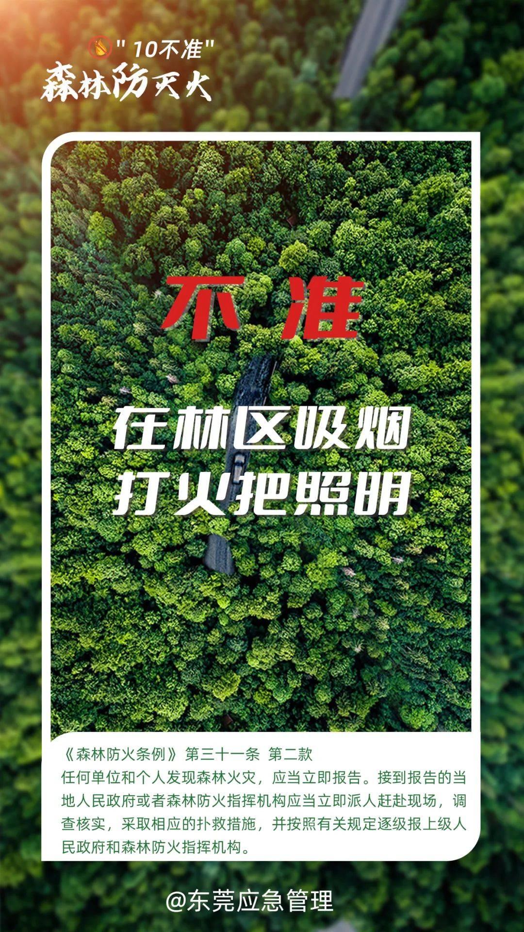 深圳坪山区突发山火<strong></p>
<p>高密市证券公司</strong>，最新通报：明火已扑灭，无人员伤亡