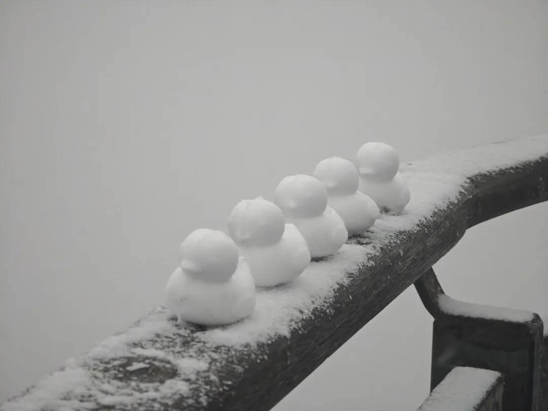 直降10℃<strong></p>
<p>大通证券官网买ipad</strong>！南京又要下雪了