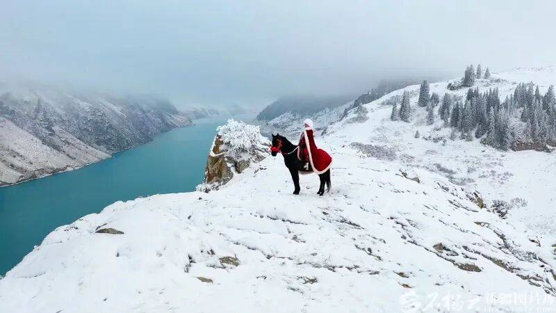 贺娇龙已安葬于昭苏公墓<strong></p>
<p>中原证券官网教育</strong>，其父亲亦葬于此地