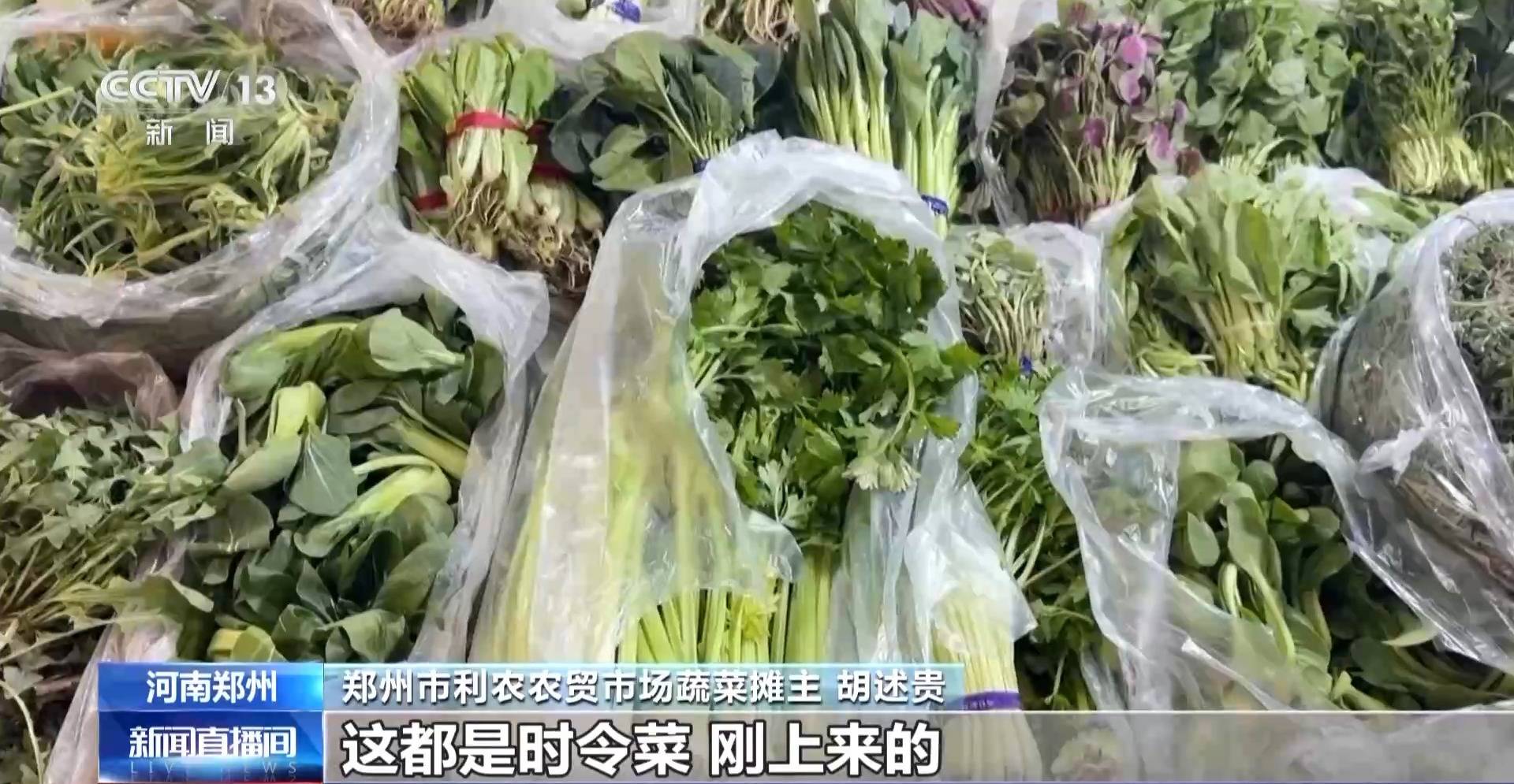 蒸、煎、拌、酿……一口鲜菜如何“锁”住春天<strong></p>
<p>齐鲁证券营业部代码</strong>？