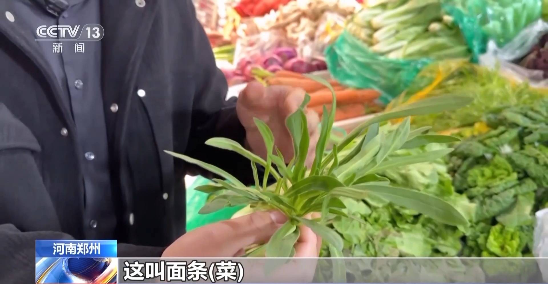 蒸、煎、拌、酿……一口鲜菜如何“锁”住春天<strong></p>
<p>齐鲁证券营业部代码</strong>？