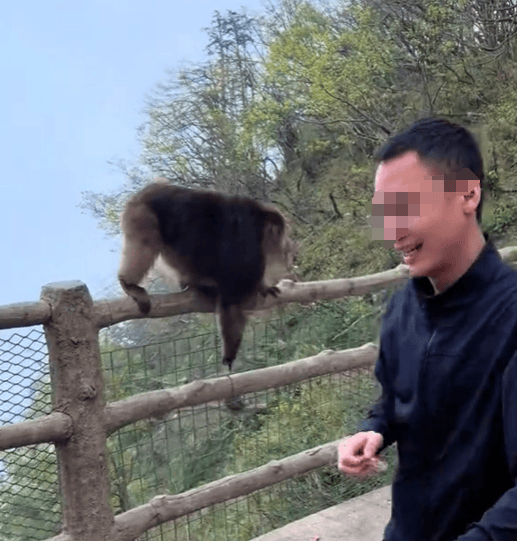 猛推峨眉山猴子的男子已致歉<strong></p>
<p>东北证券有限责任公司</strong>，三年内禁止进入景区！猴子没事